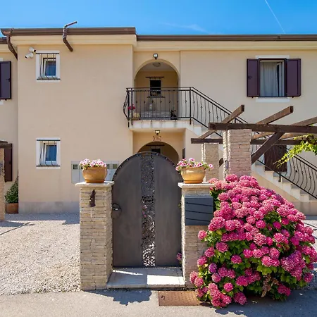 Apartments Bugenvila Brzac Apartment Brzac